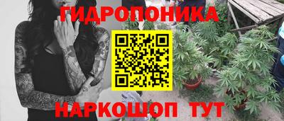 Альфа ПВП Гусиноозёрск