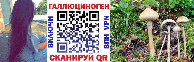 продажа наркотиков  Кострома  Псилоцибиновые грибы ЛСД 